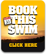 book_this_swim